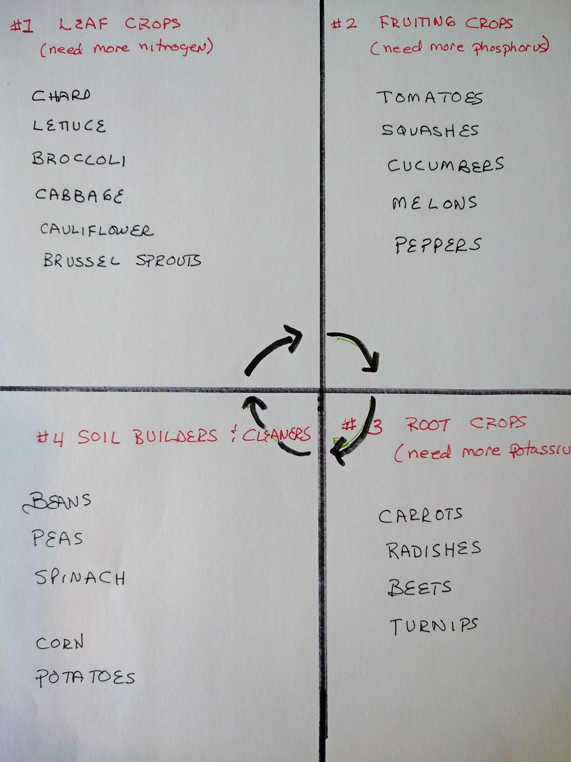One page of a garden journal with hand-written plan for annual rotation of four quadrants in garden