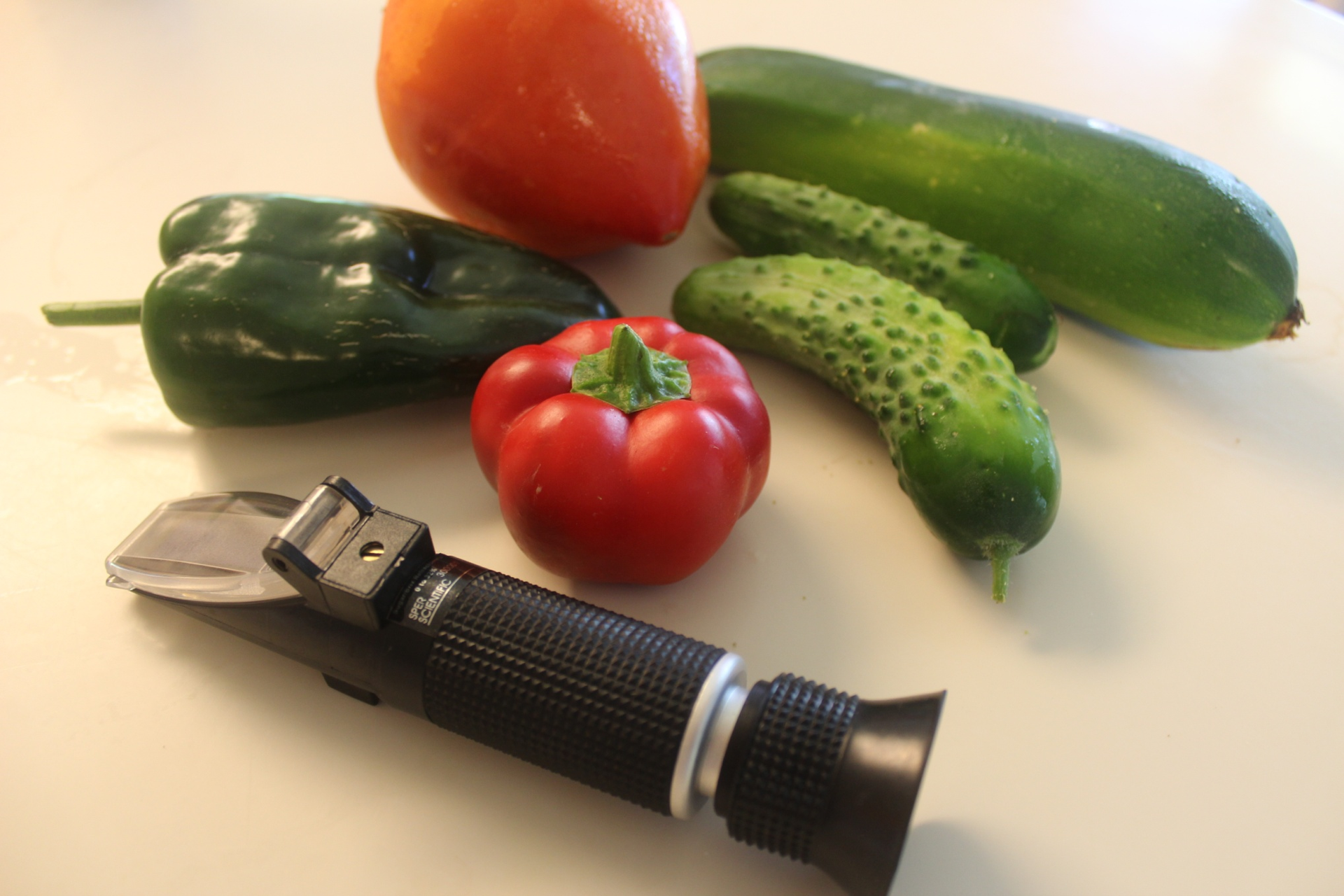 Brix meter with vegetables