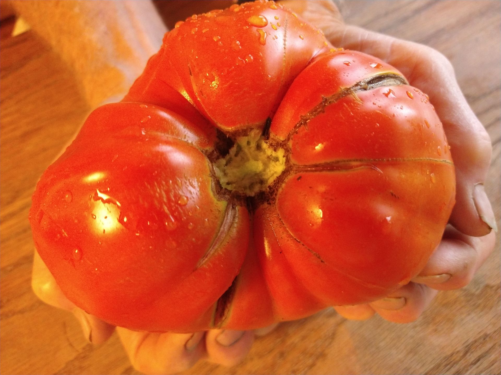 Micki Crane heirloom tomato