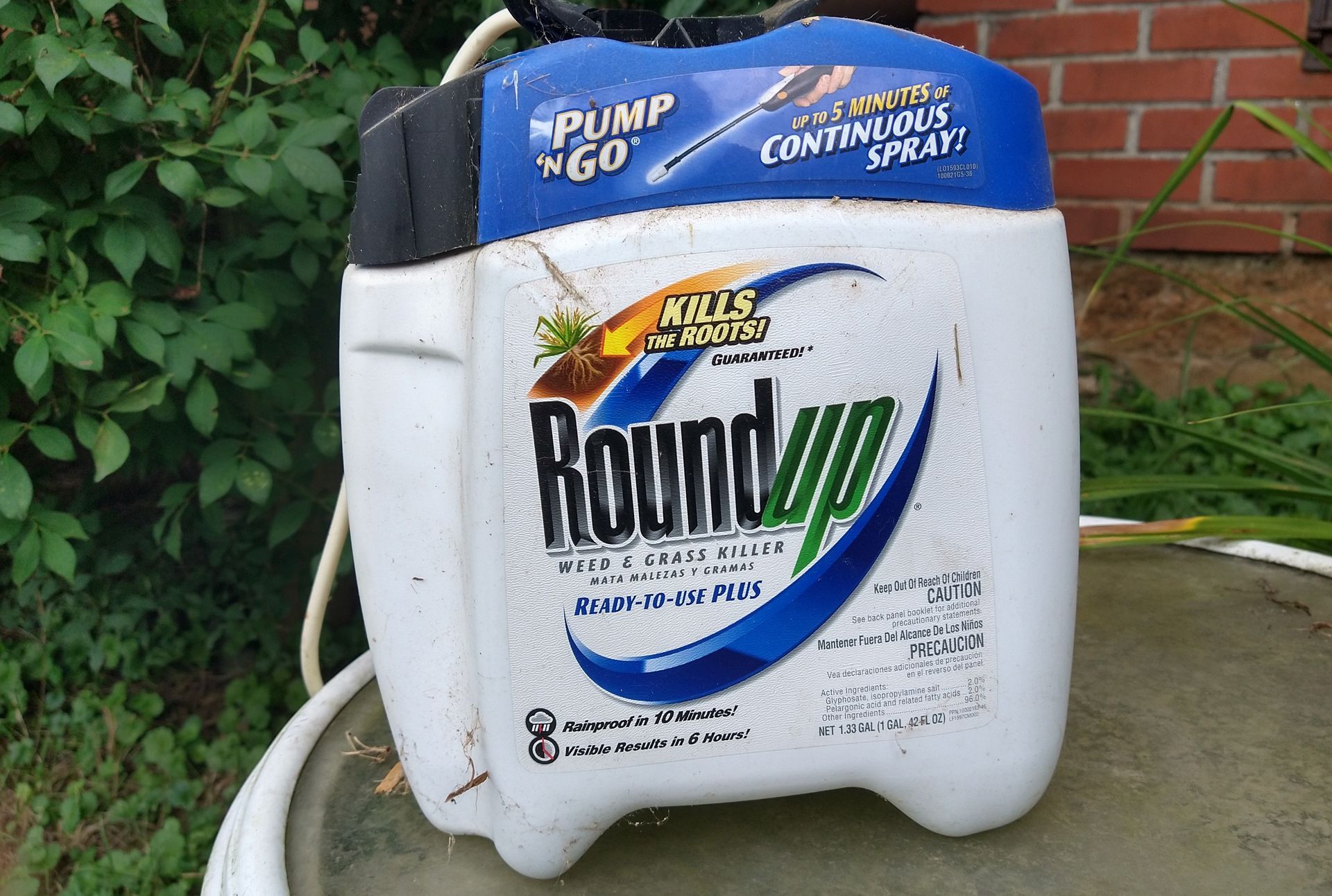 Photo of Roundup in a container