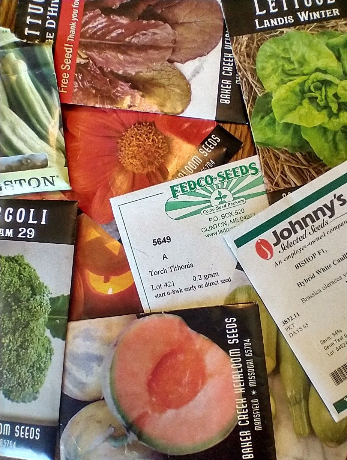 A variety of seed packets from different companies