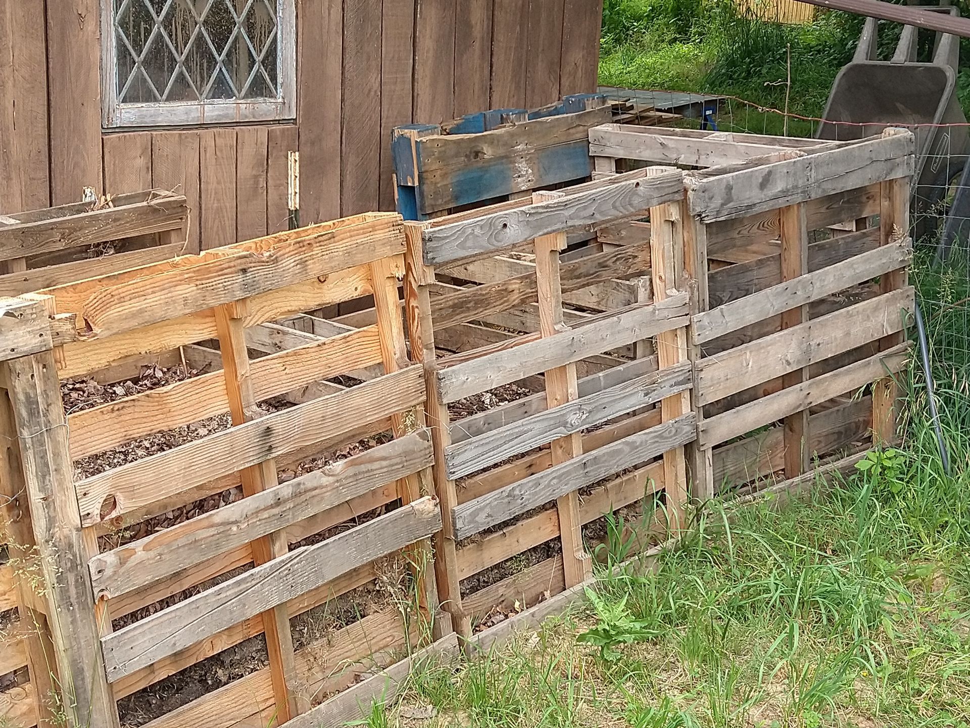 Three adjacent compost bins made from wood pallets