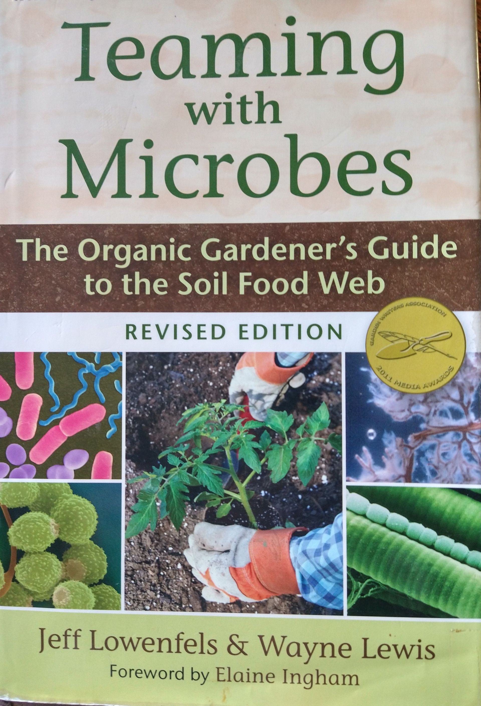 Photo of book cover: