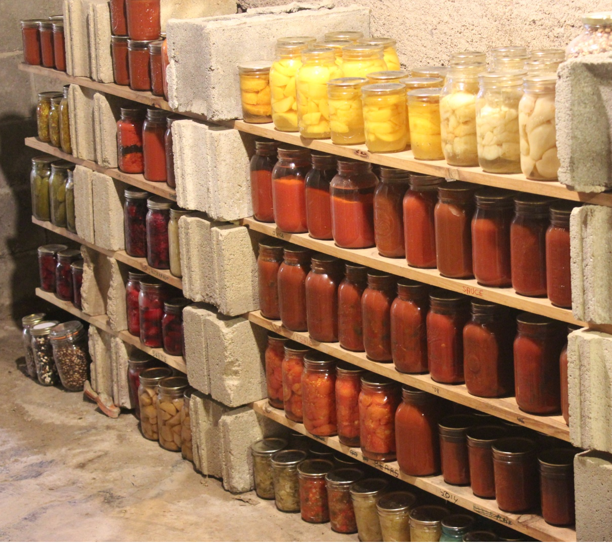 Shelves of canning jars filled with tomatoes and apples
