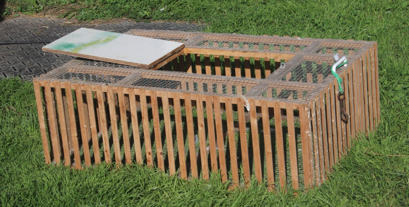 Photo of a handmade carrying crate that will hold five or six chickens