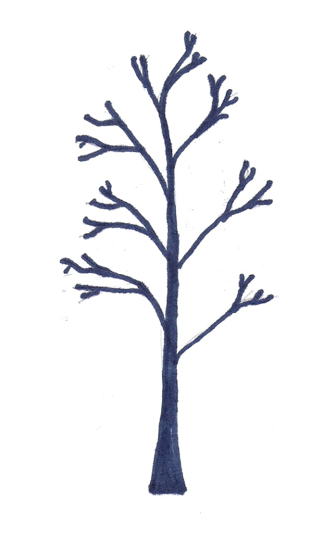 Sketch of fruit tree with central-leader shape