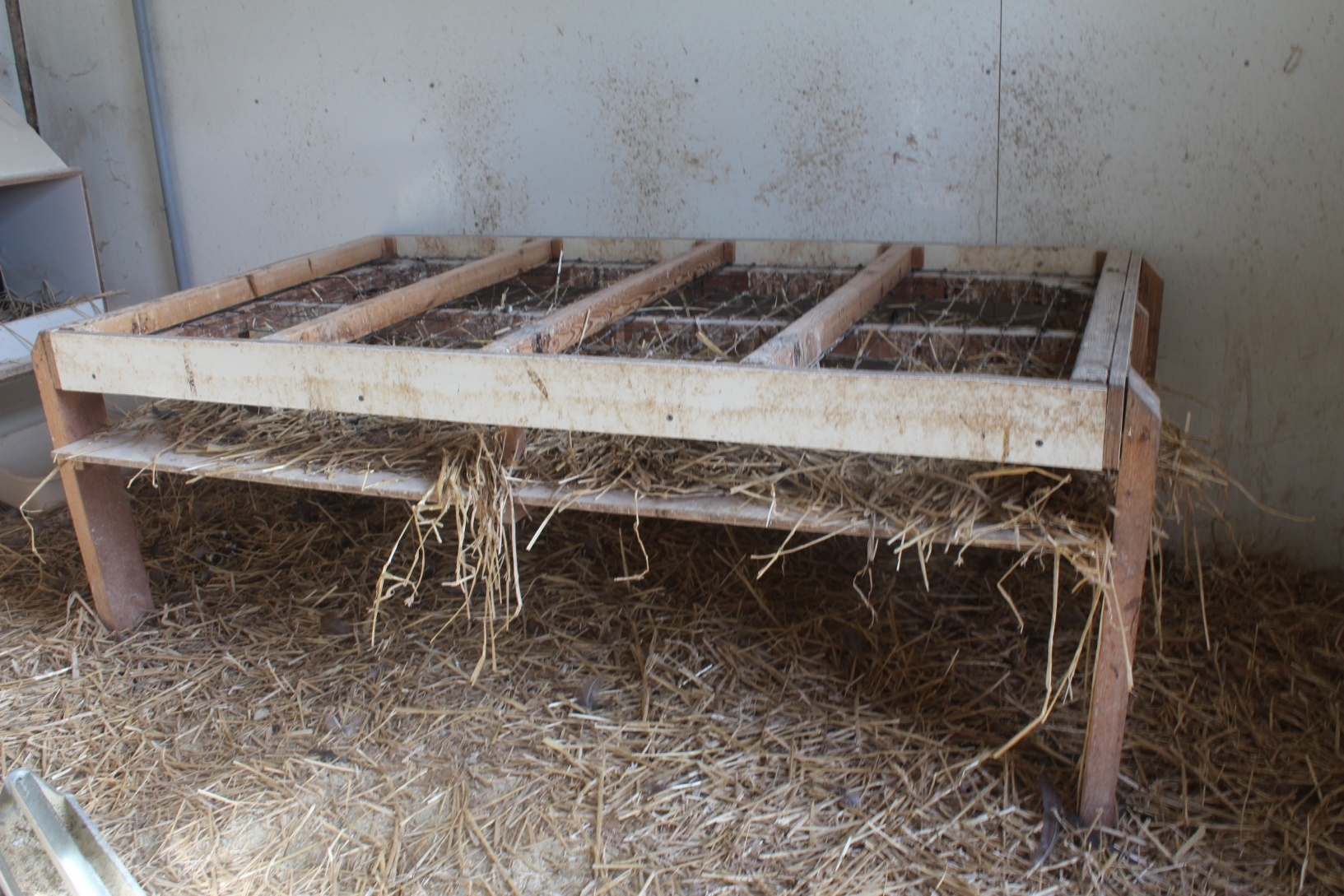 Photo of a chicken roost inside chicken house