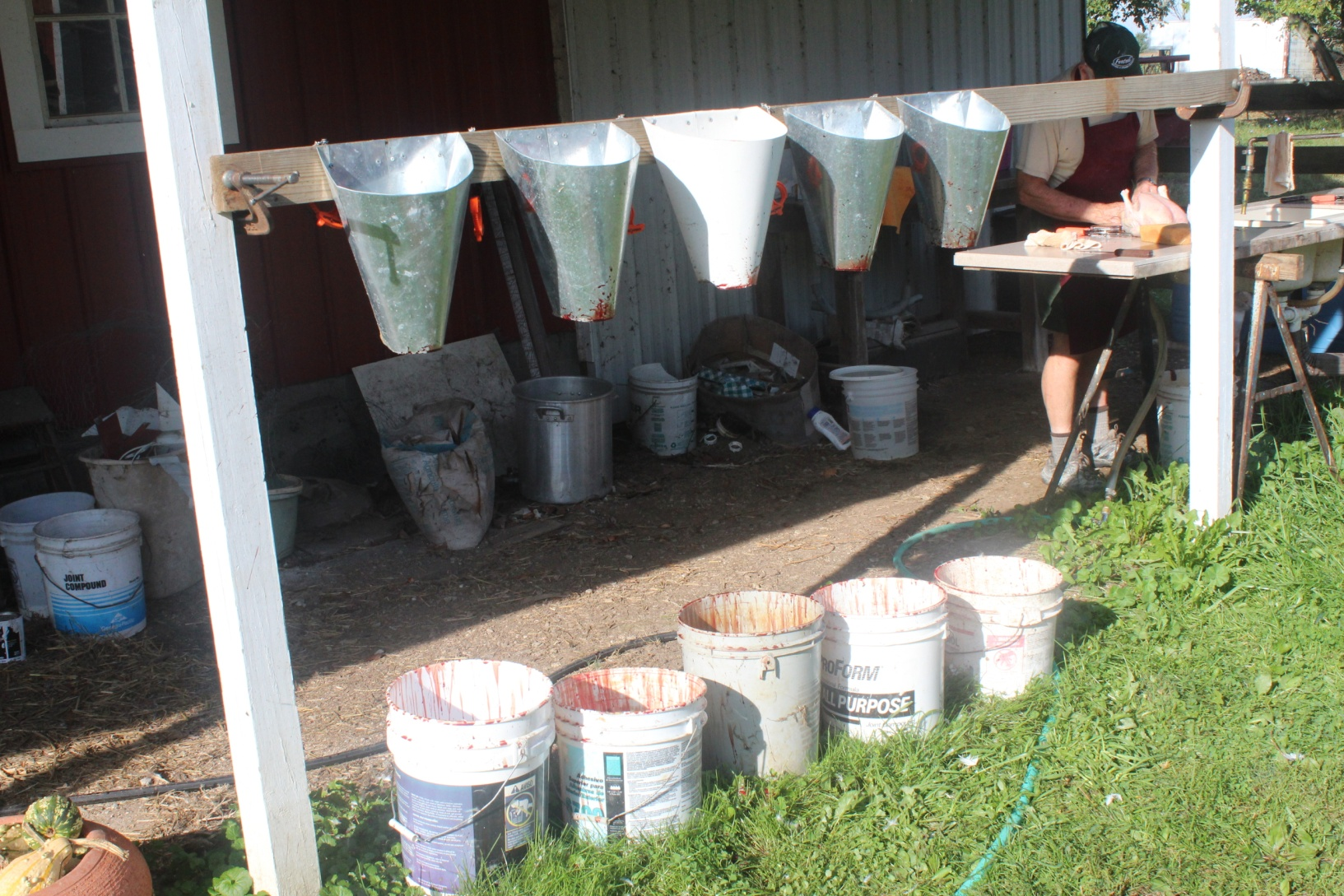 Photo of five cones that each hold one chicken for butchering