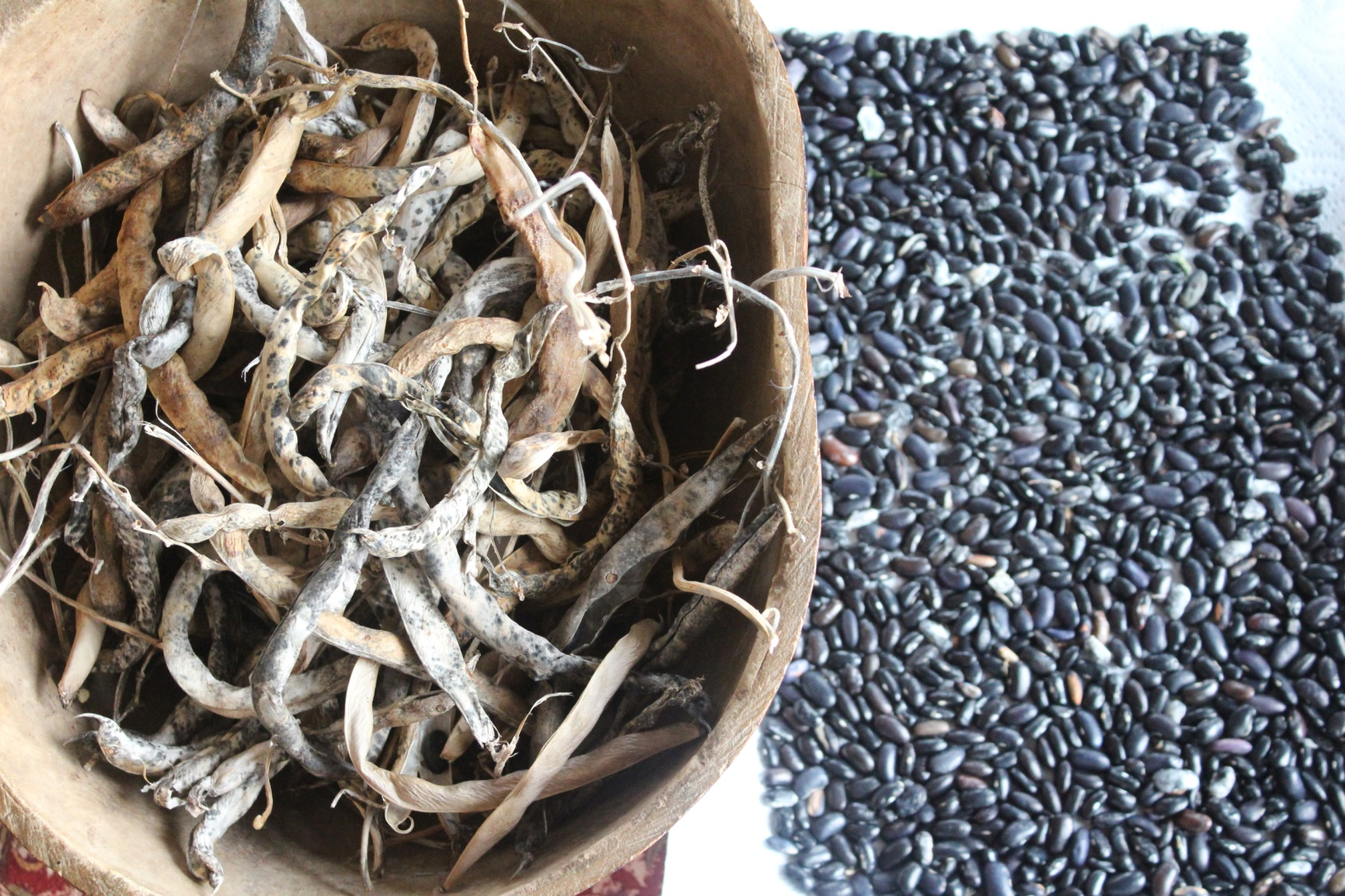 dried bean pods in gourd bowl next to shelled black beans