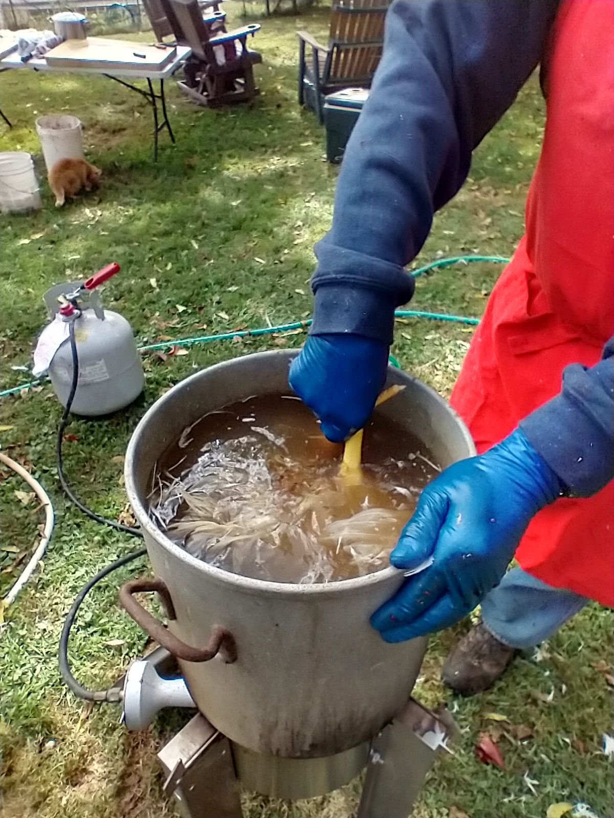 Photo of butchered chicken being held by leg and dunked in hot water over burner.