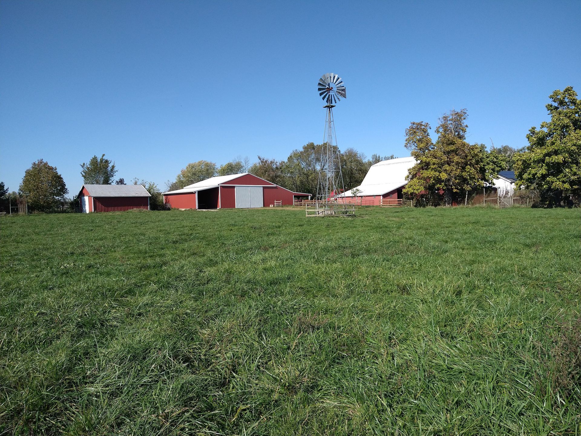 Learn how to manage time when homesteading to make each season more fun with less stress.