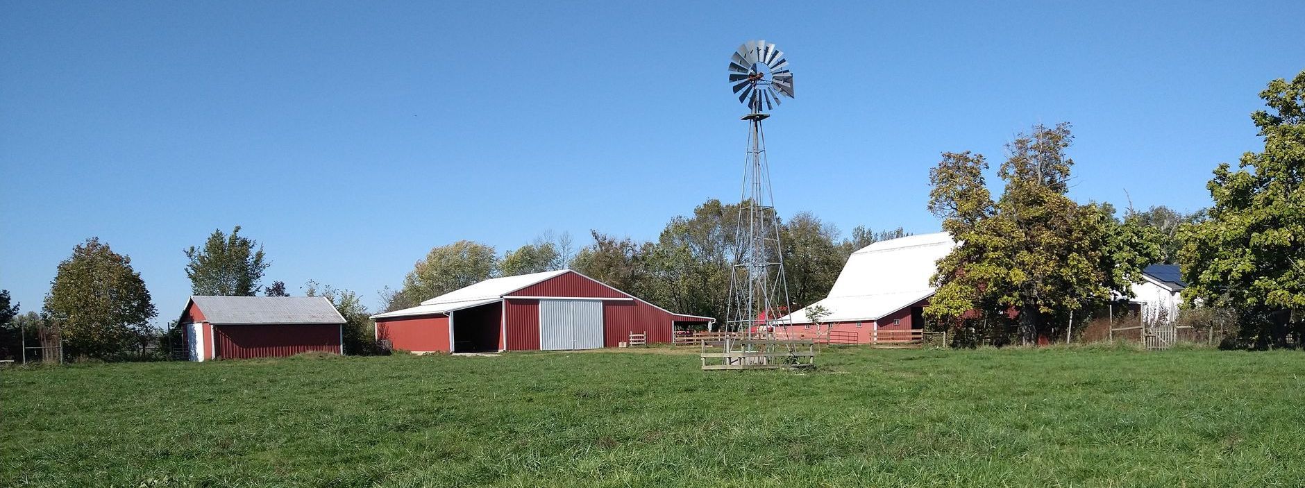 Photo of small farm's outbuildings including two red barns and a windmill