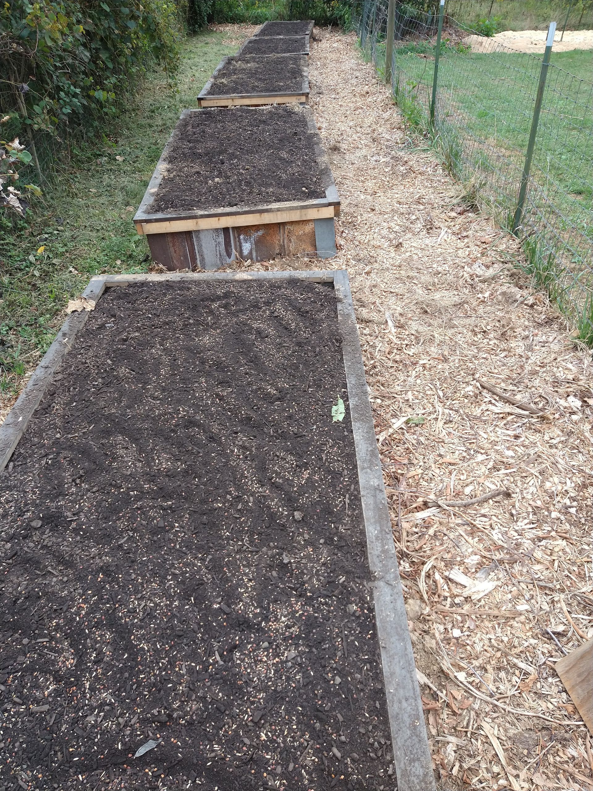 Five new raised beds in a row topped off with compost.
