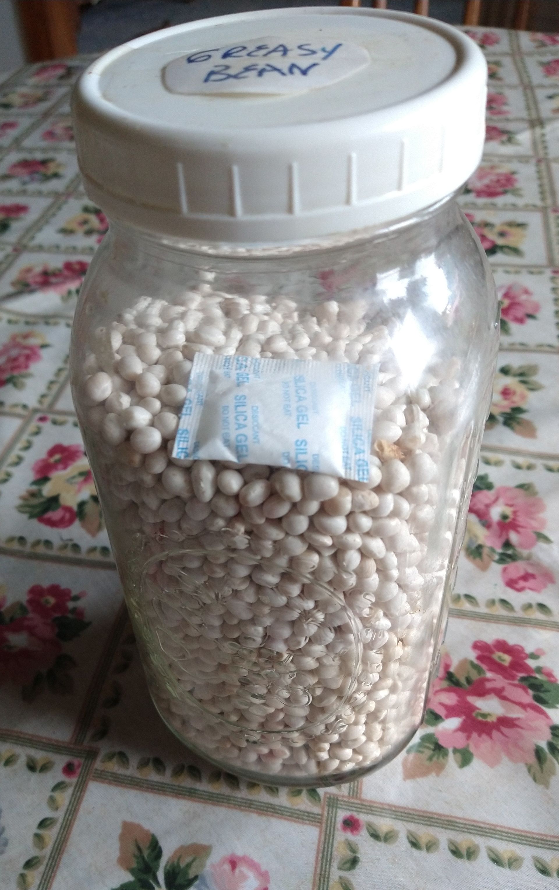 A half-gallon jar with dried, white beans inside.
