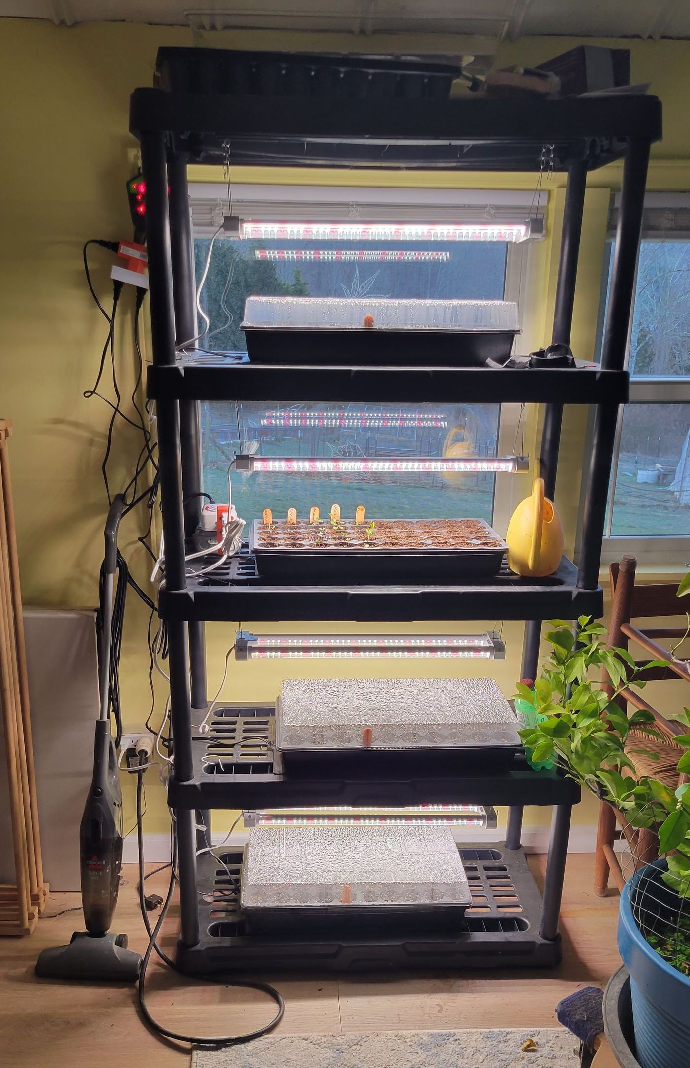 Grow lights on a timer and heating pads can be stacked to begin flats of seedlings indoors.