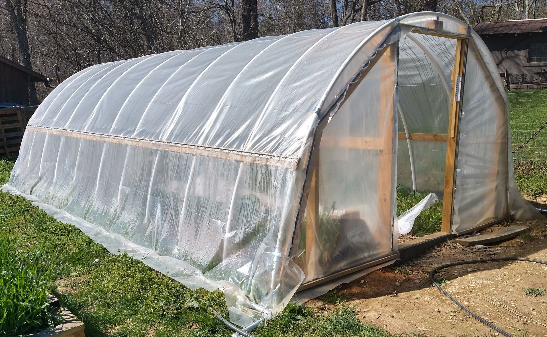 This is the outside of a smaller hoop house on a sunny day. The greenhouse plastic covers the plastic hoops and the door at the front is open.