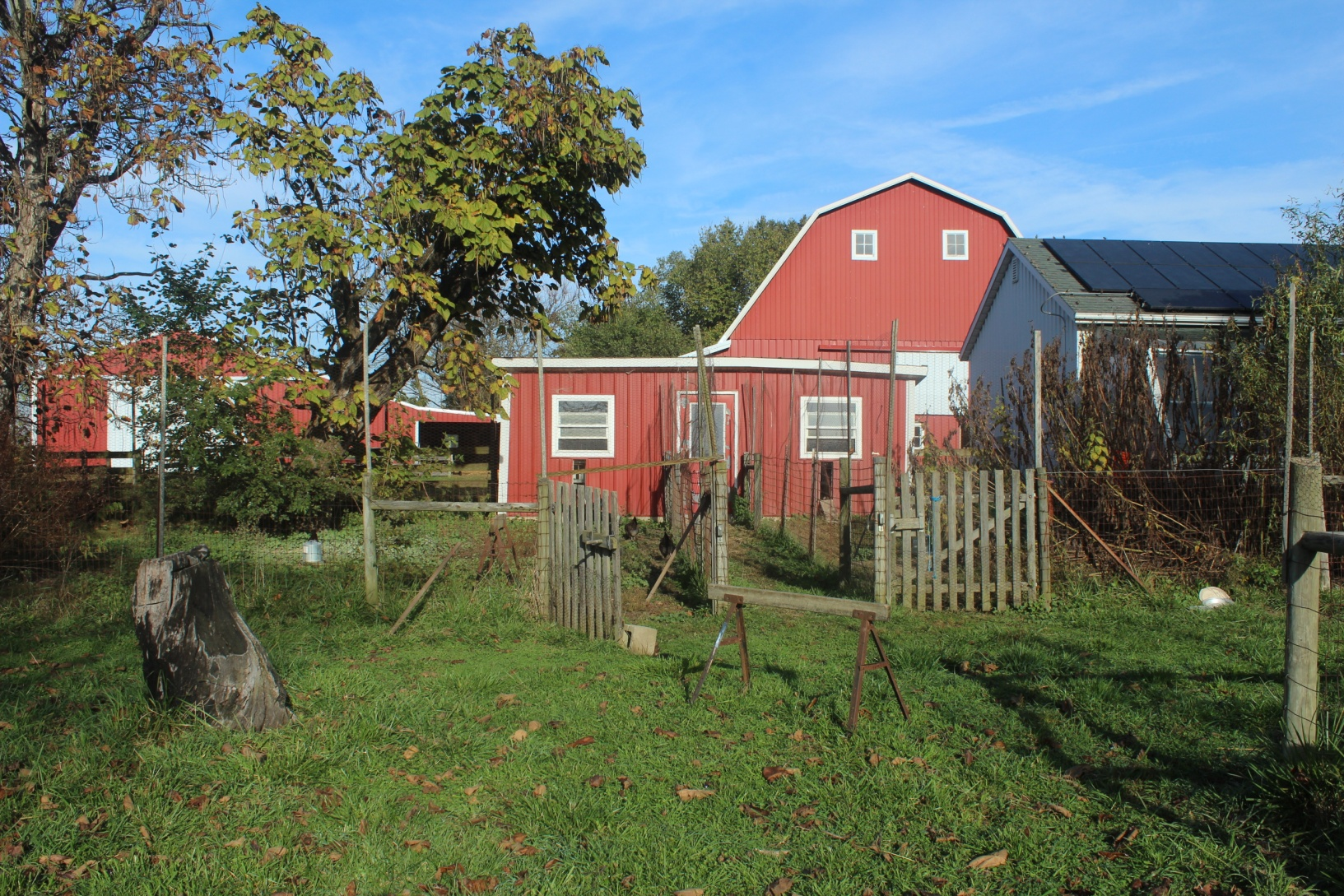 Red chicken house in the forefront with large red barn behind and garage with solar panels adjacent