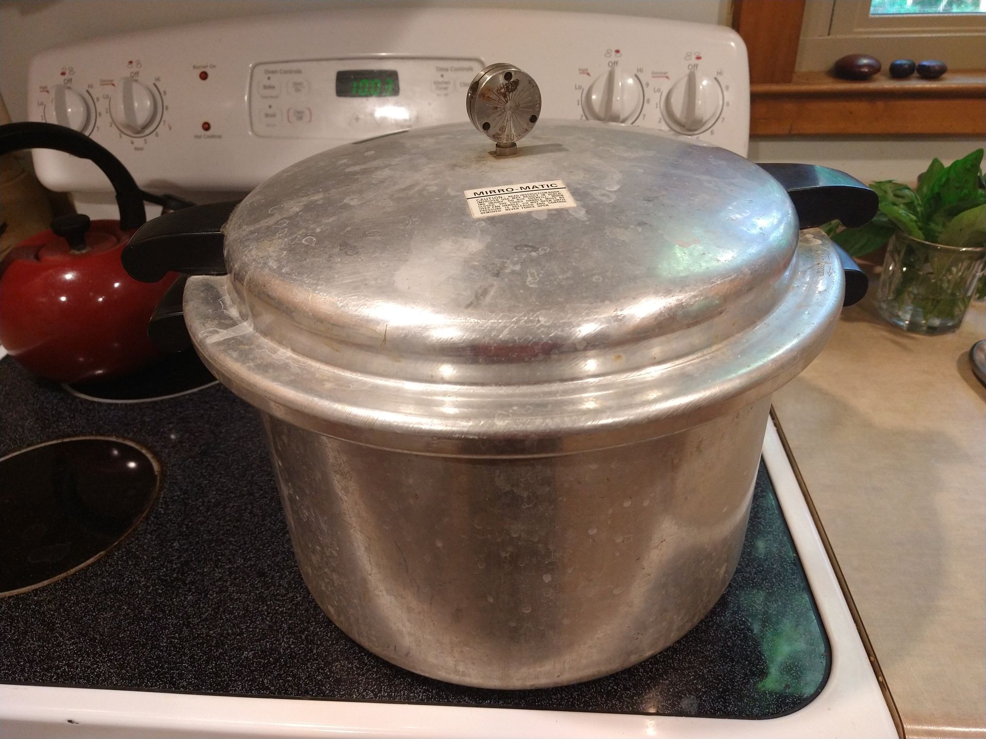 Pressure cooker on stove