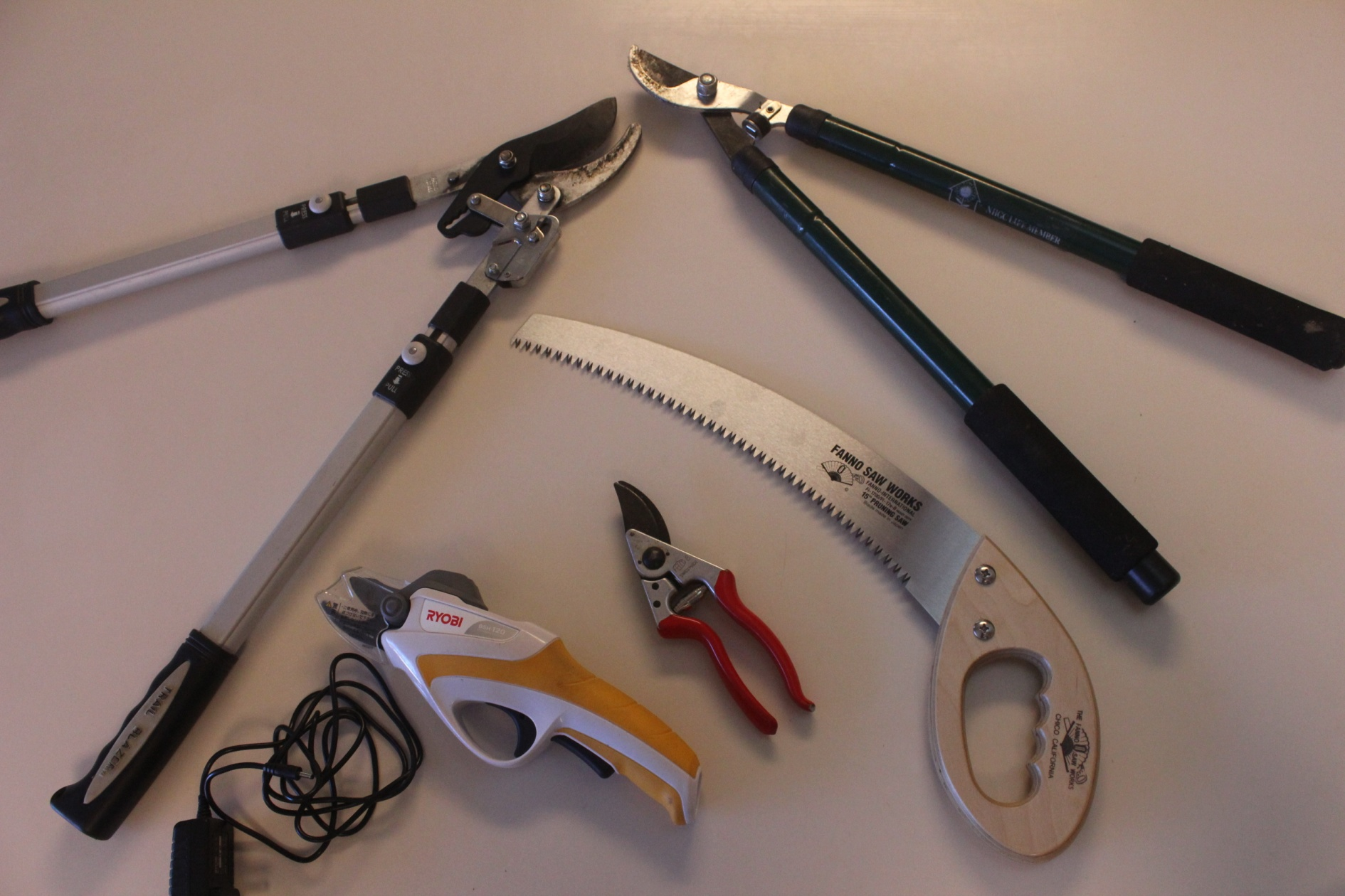 Photo of several pruning tunes including saw, loppers and shears.