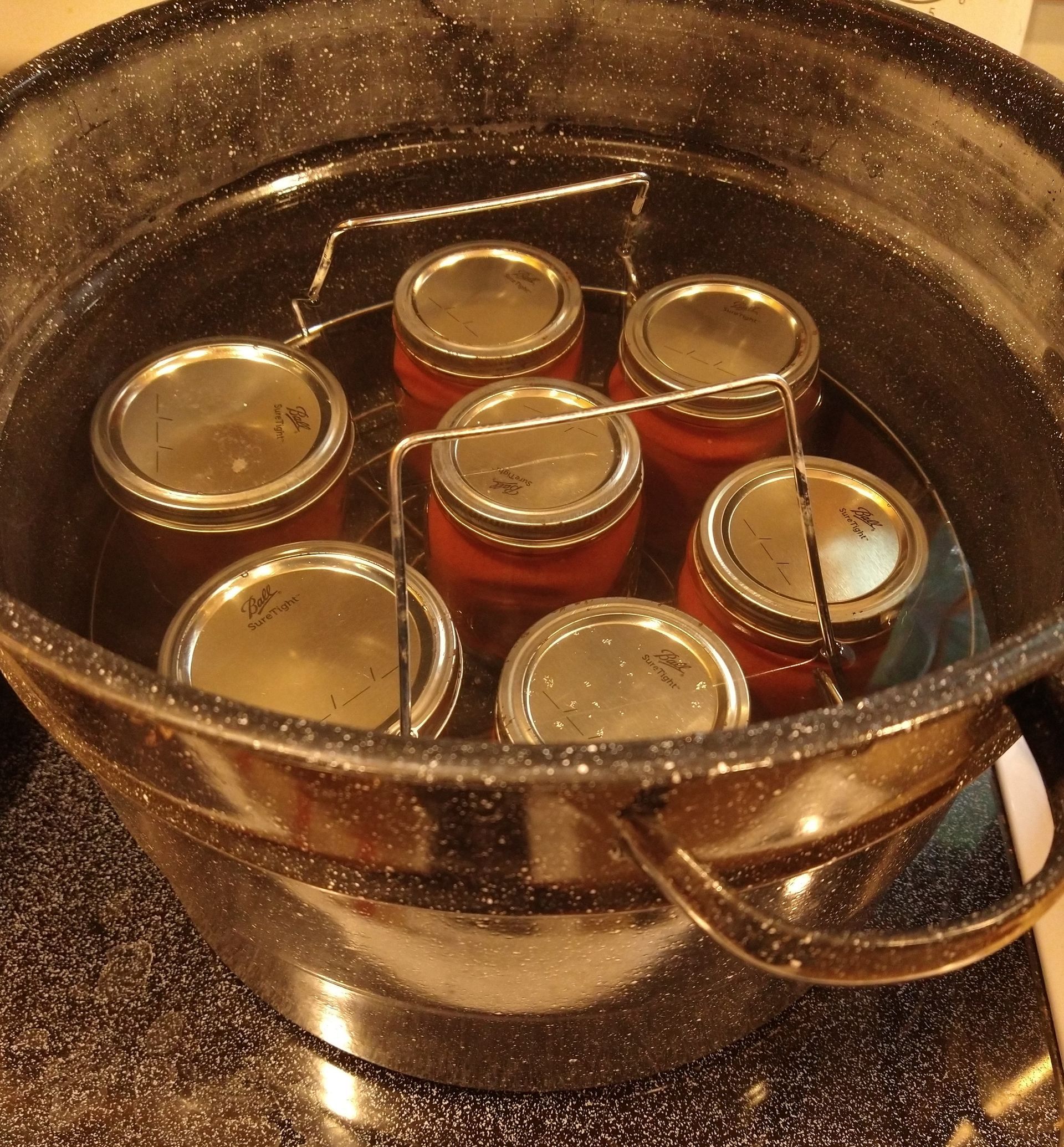 Photo of seven quarts of tomatoes on the rack inside the water bath canner