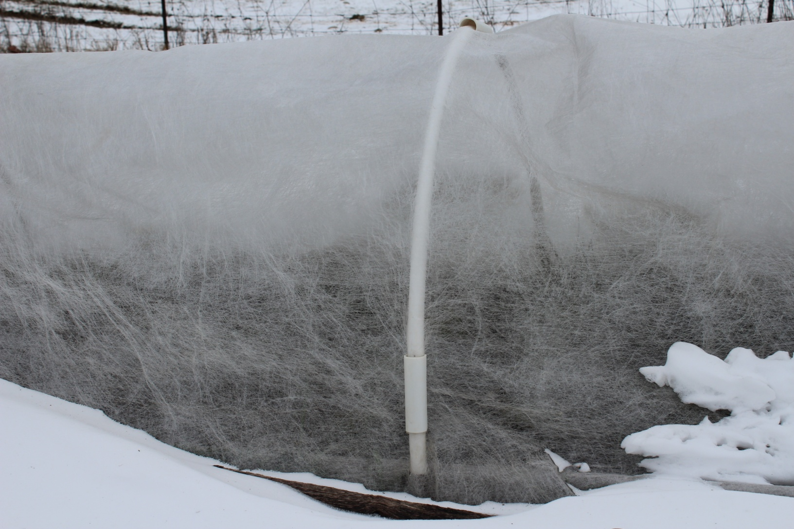 crops covered with a row cover over hoops and held in place with plastic clamps with snow around the  outside