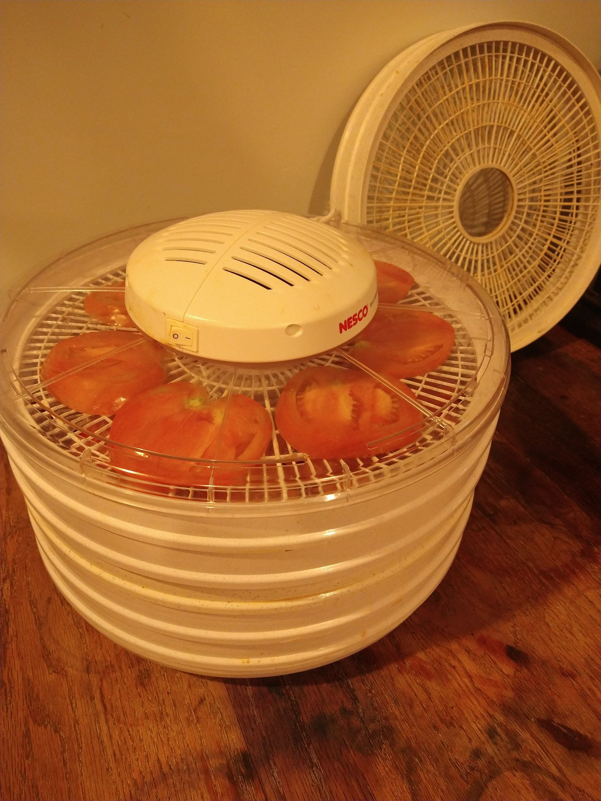tomatoes in food dryer,