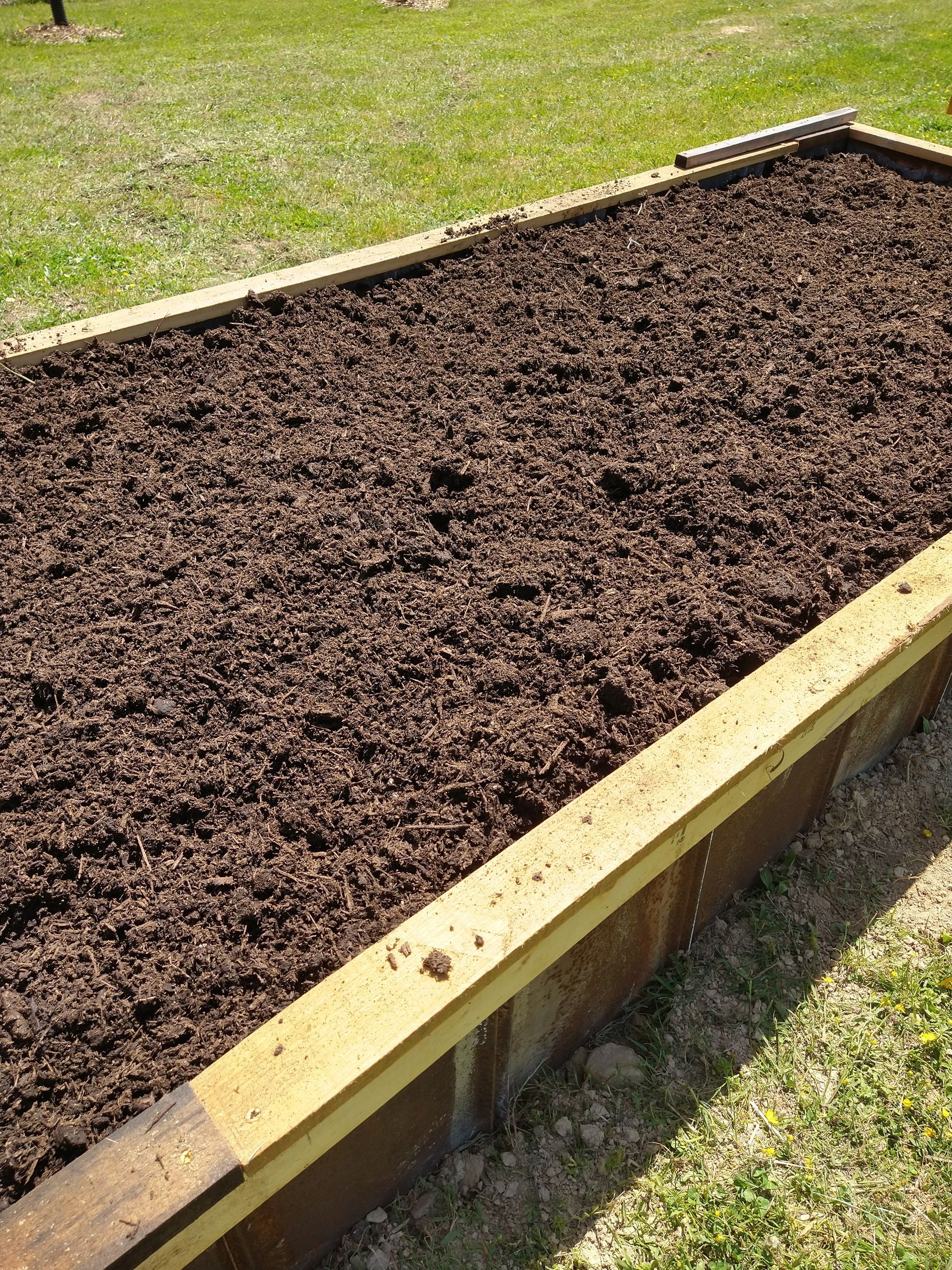 Newly made raised bed filled to the top with topsoil