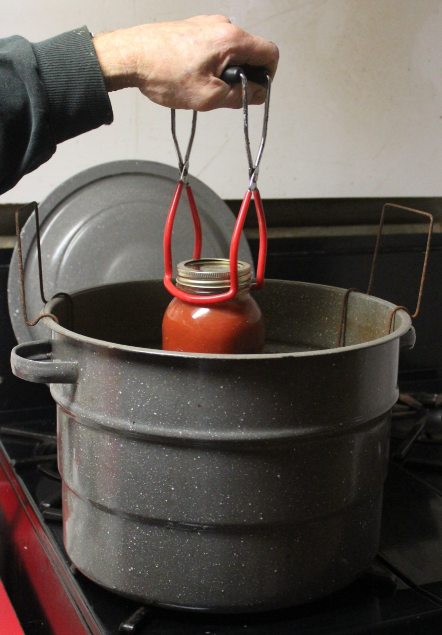 Photo of a jar of tomato sauce being lifted out of a water bath canner with a canning