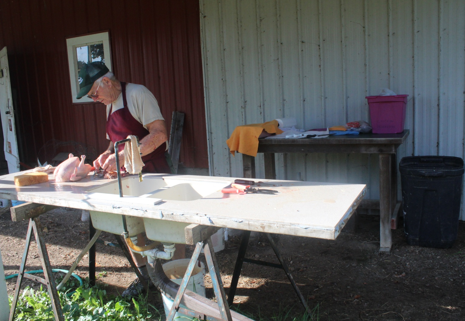 Photo of a man standing at a counter top outdoors in front of a barn cleaning a plucked chicken