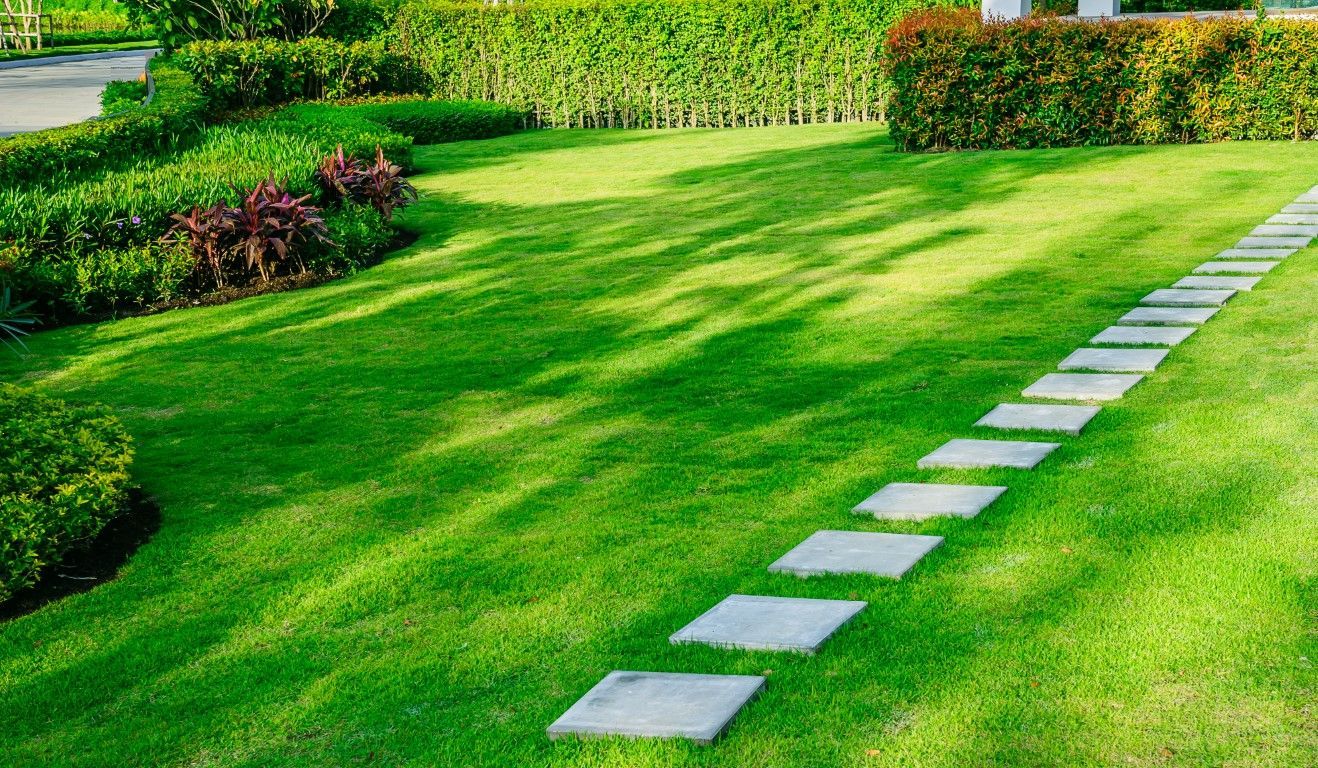 Residential lawn care services that keep Celina yards healthy and well maintained.