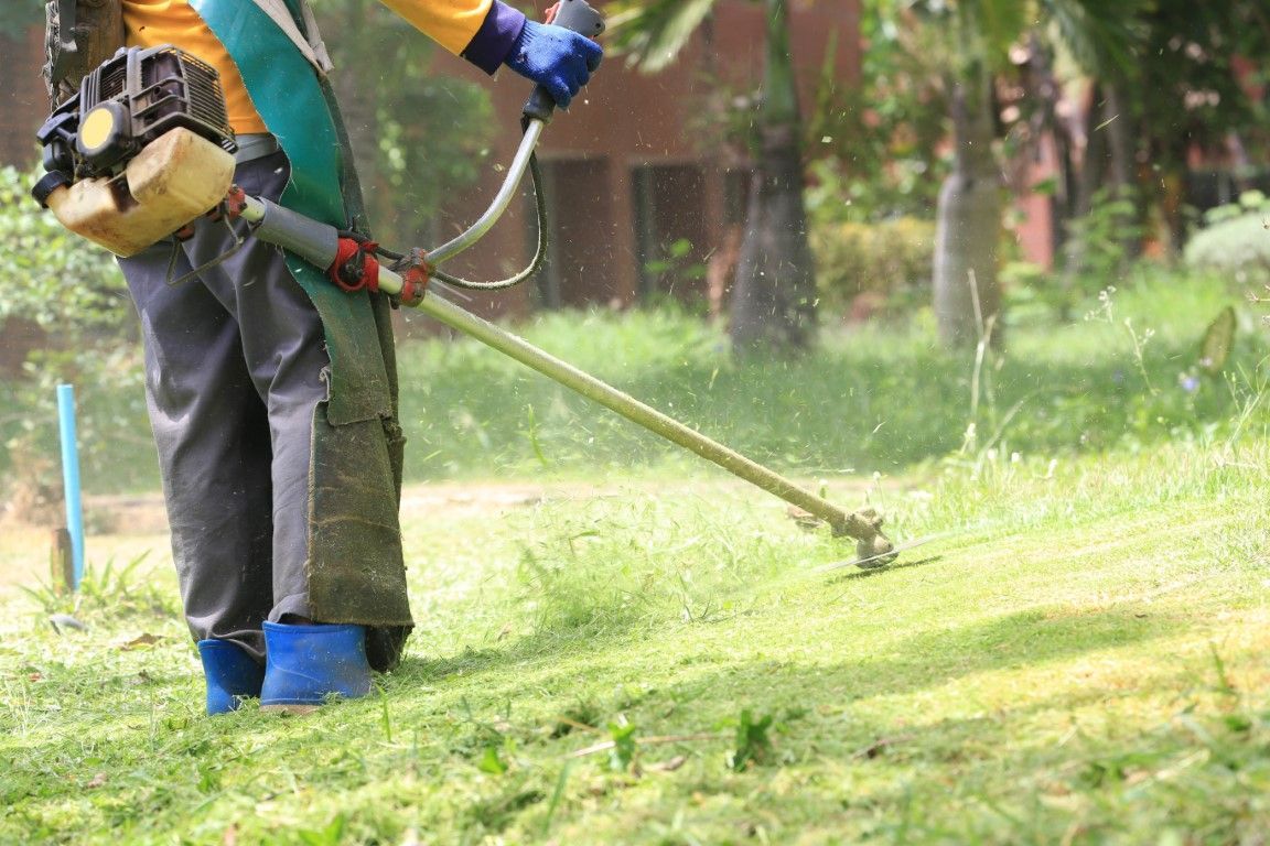 Edging and weed trimming to give a lawn a clean, finished appearance in Celina, TX.