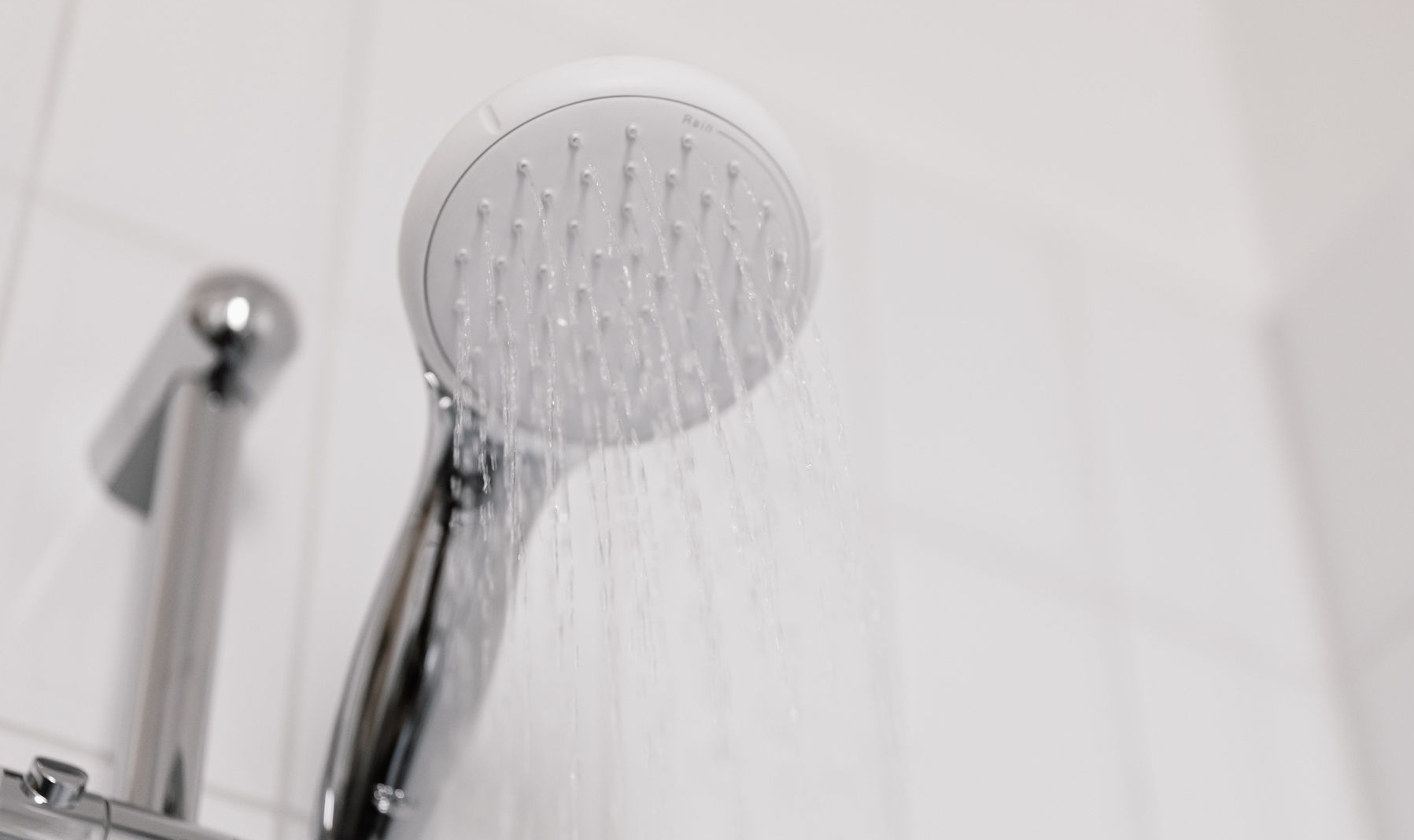 Shower Head in Apex, NC Home