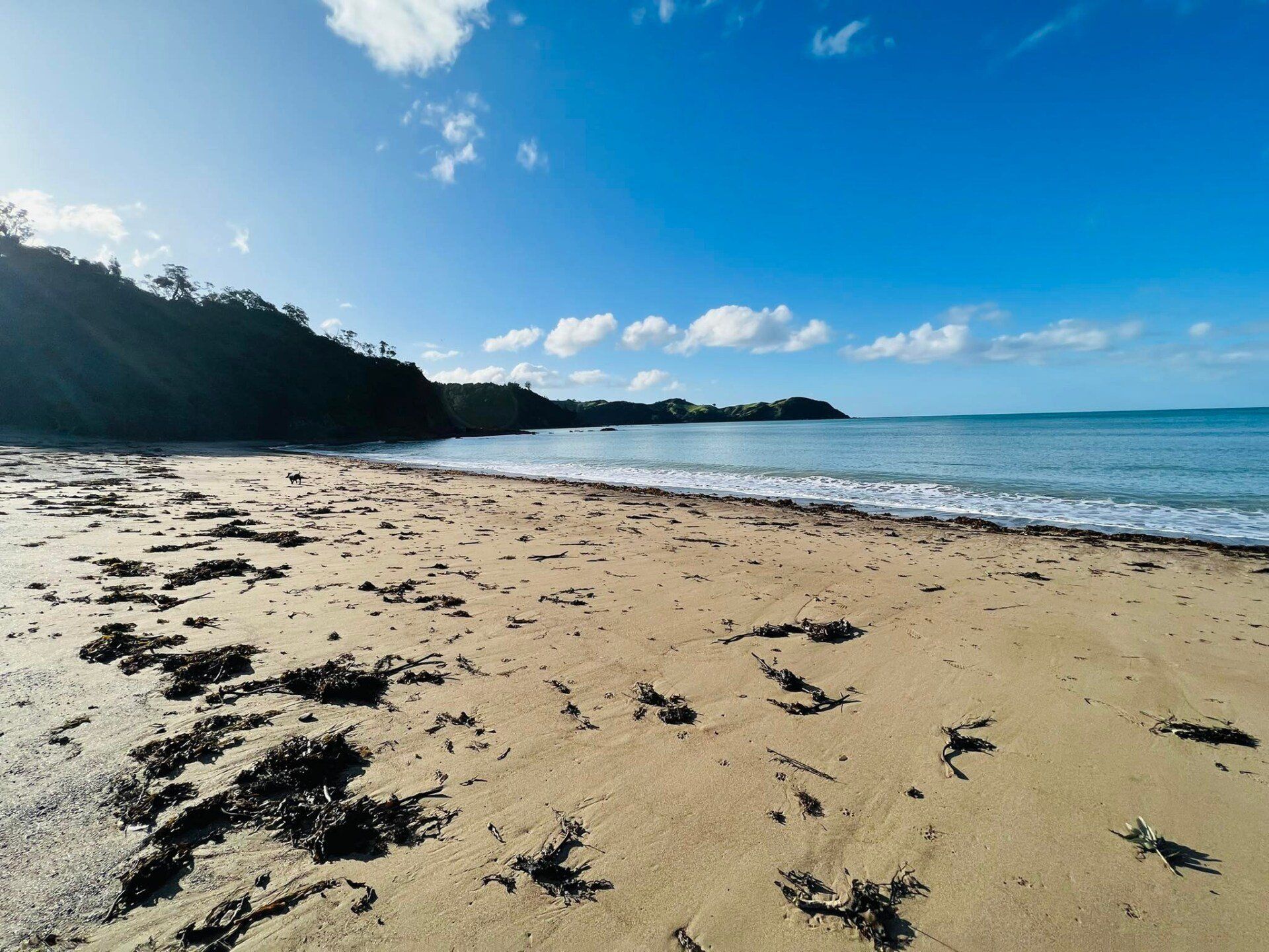 Beach at Teal Bay 
