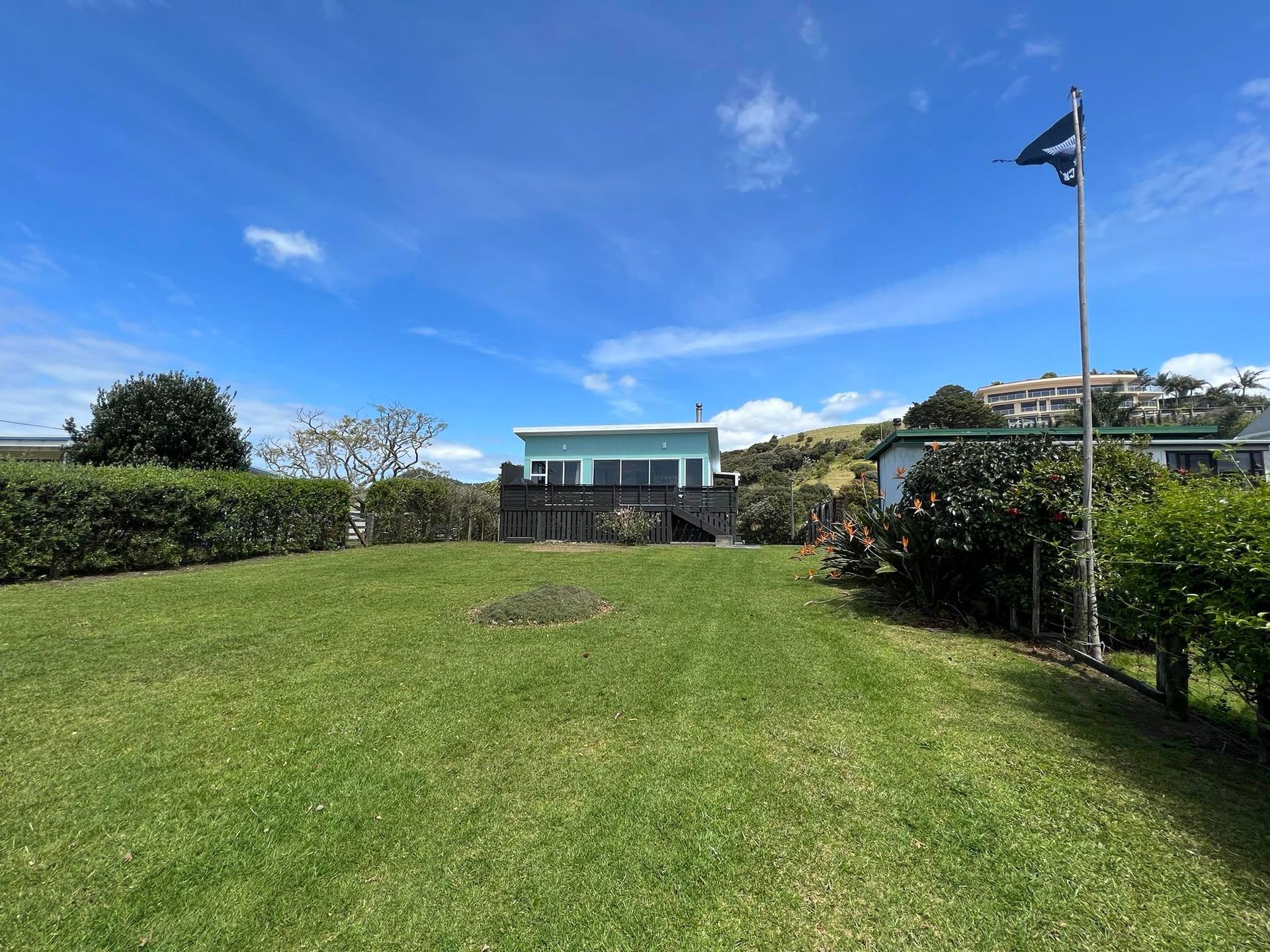 Grassy backyard with a house, hedge, and blue sky on a sunny day