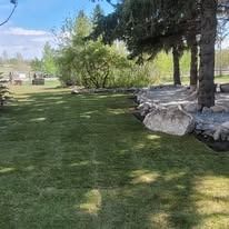 A freshly laid lawn borders a rock garden lined with large boulders under pine trees on a bright, sunny day.