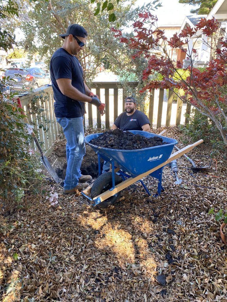 Two men load leaves into a blue wheelbarrow in a backyard