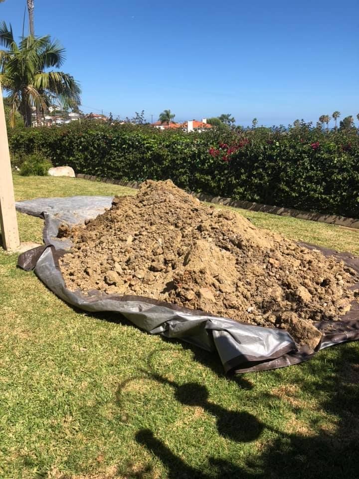 Pile of dirt on black tarp in sunny backyard lawn with hedge and palm tree.