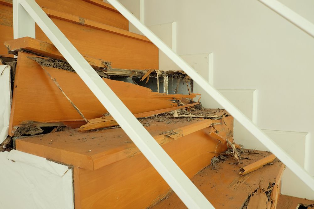 Damaged Orange Wooden Staircase With a White Railing — The Pest Control Guy in Cardwell, QLD