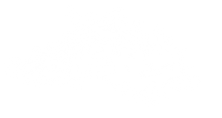White background.