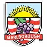 Edge Physio Marlborough are key providers for Marlborough Rugby 