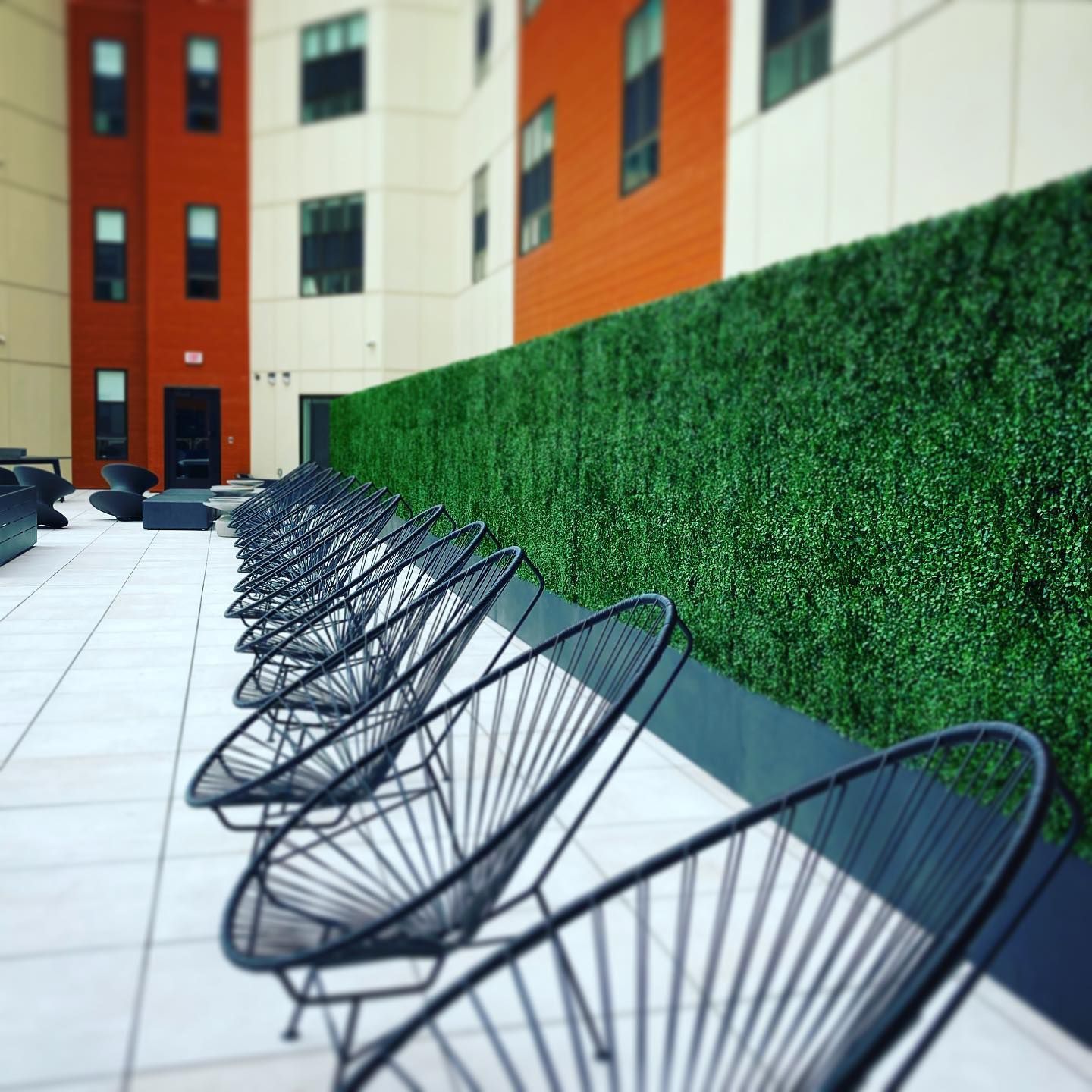 Black chairs line a courtyard with a green hedge and buildings of orange and white.