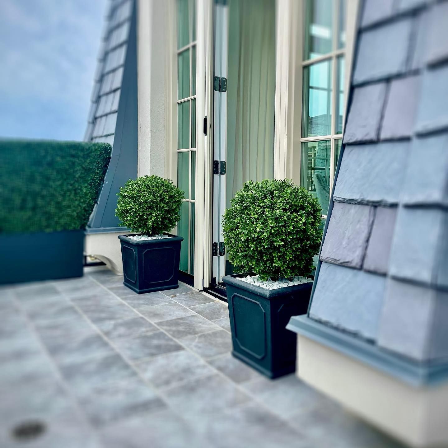 Balcony with two spherical shrubs in black planters, and a hedge in a dark planter, near glass doors.