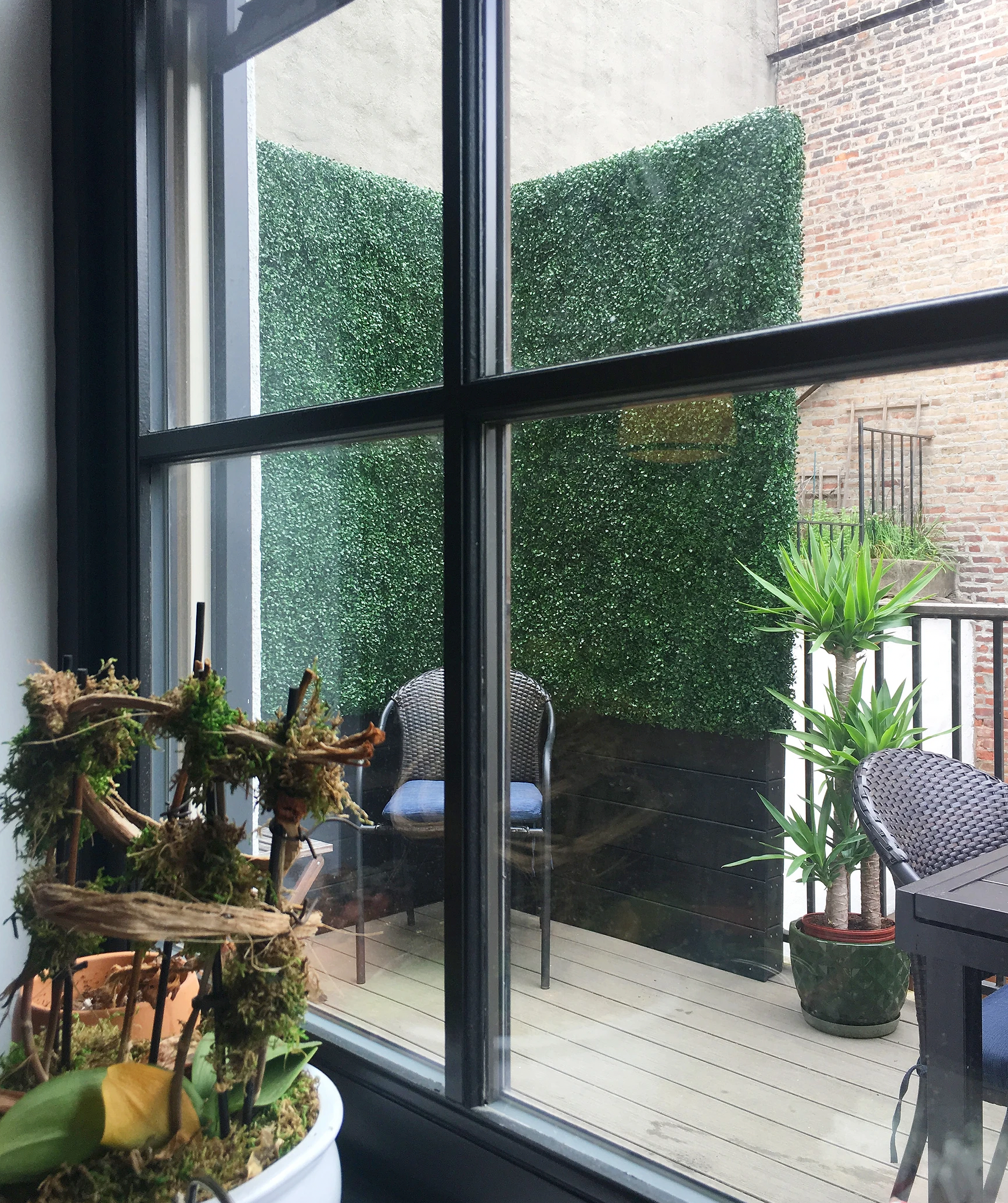 A view from a window looking onto a balcony with chairs, a potted plant, and faux ivy privacy screens.