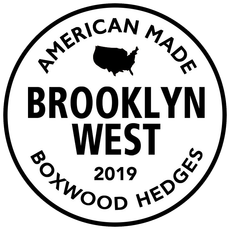 Brooklyn West - Custom Artificial Hedges & More Brooklyn West - Custom Artificial Hedges & More