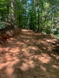Clearing The Land Of Forest — Powell, TN — L&L Contracting LLC