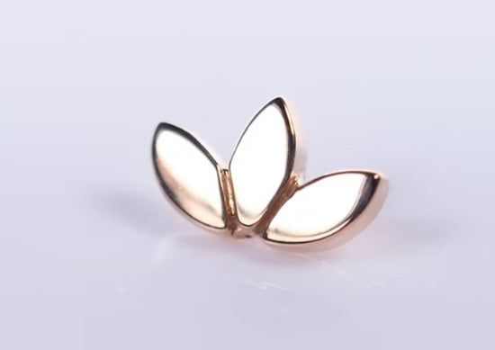 Flat Marquise Fan