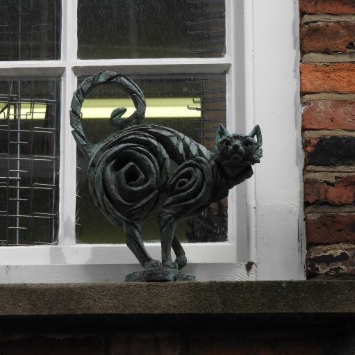 York Cat Hunt Cat 13