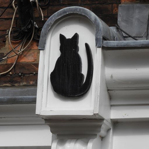 York Cat Hunt Cat 14