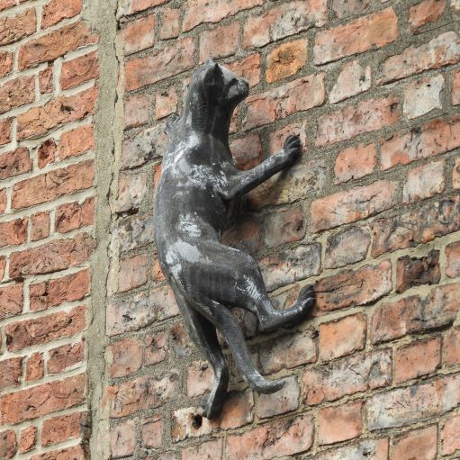 York Cat Hunt Cat 15