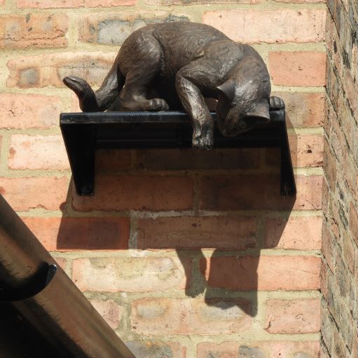 York Cat Hunt Cat 19